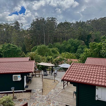 Mimosa Village - Turismo De Natureza Mortágua Exteriér fotografie