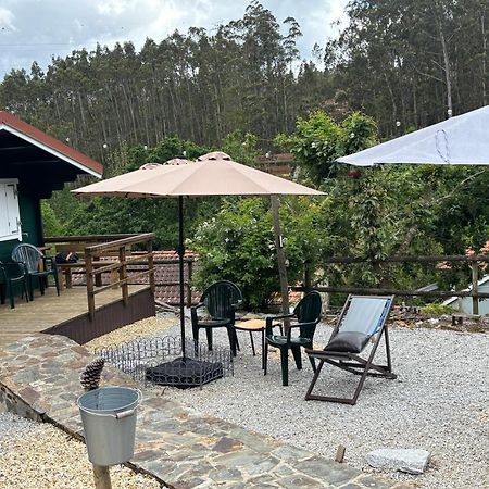 Mimosa Village - Turismo De Natureza Mortágua Exteriér fotografie