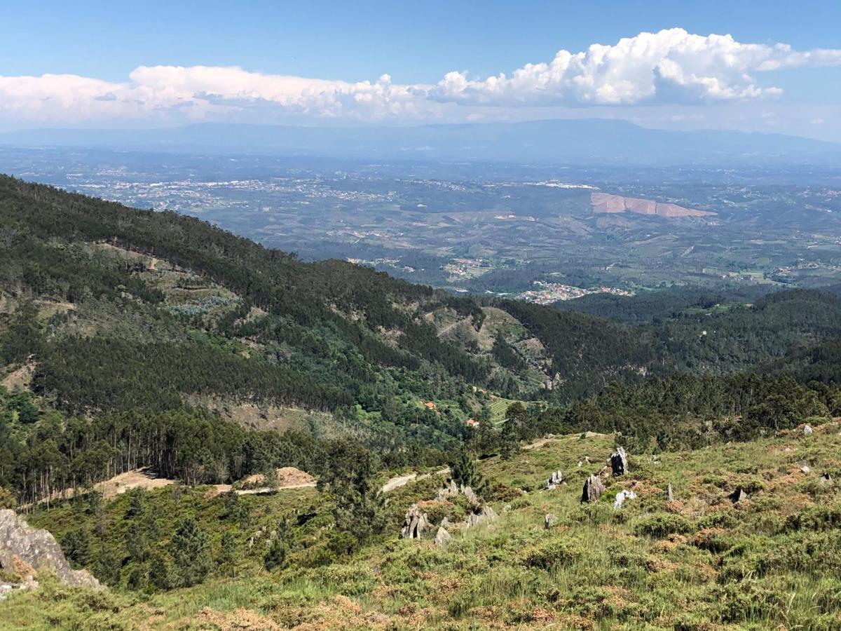 Mimosa Village - Turismo De Natureza Mortágua Exteriér fotografie